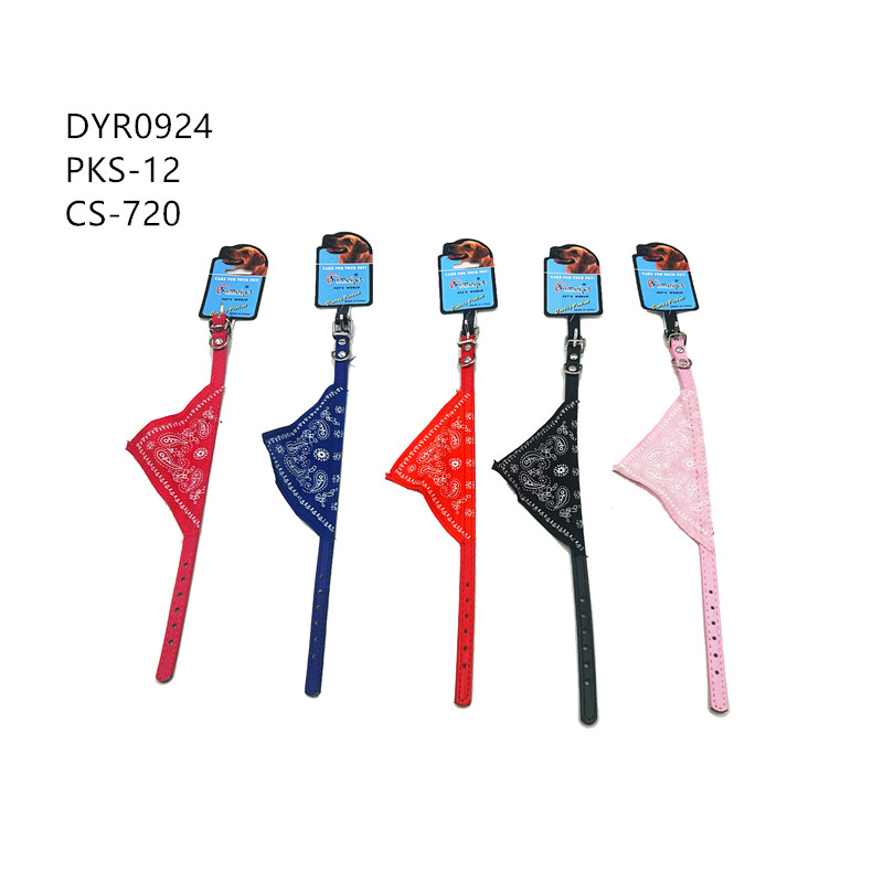 DYR0924